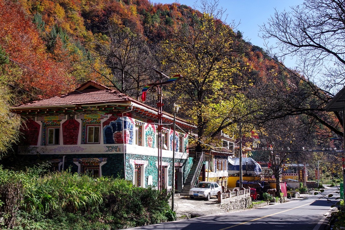 川西--黑水--奶子沟彩林【8】