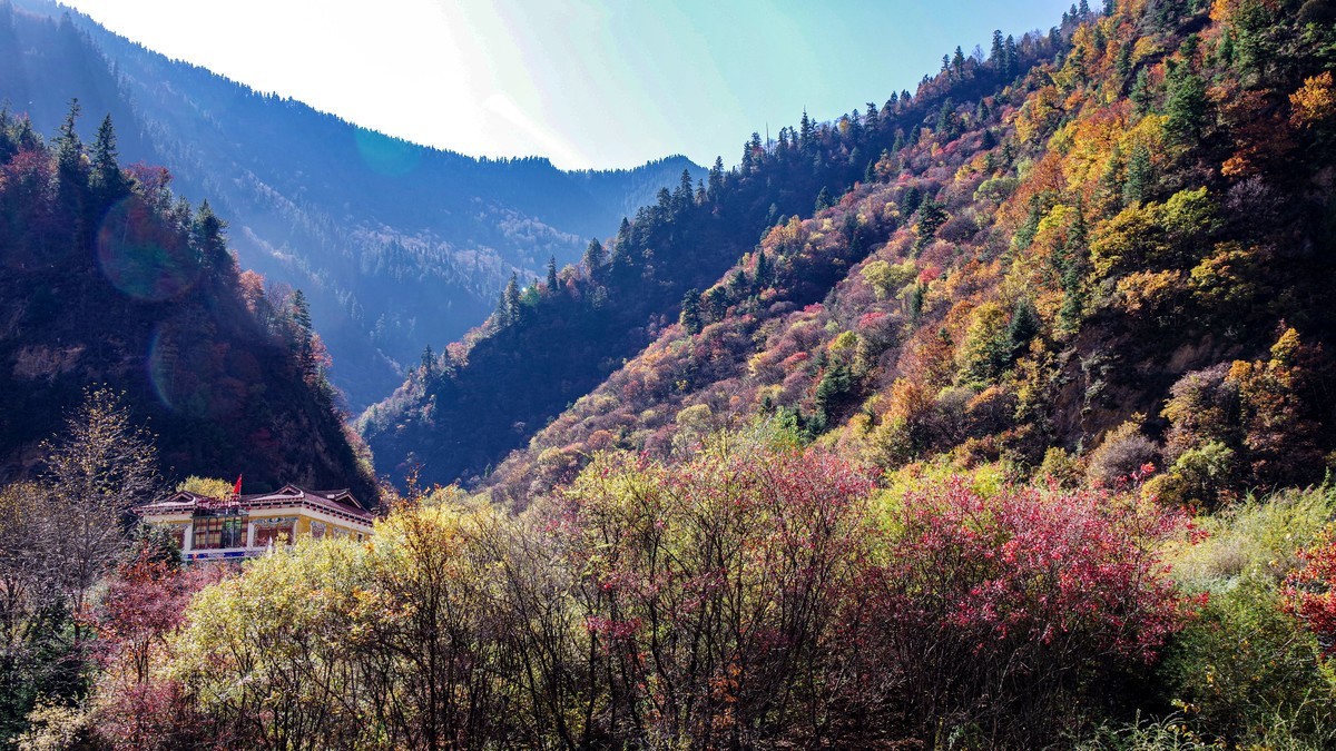 川西--黑水--奶子沟彩林【8】