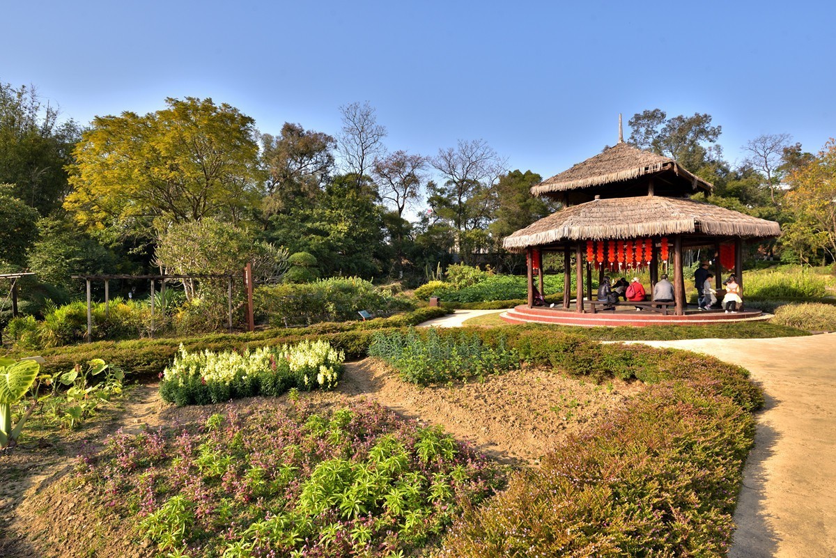 药用植物园随拍4