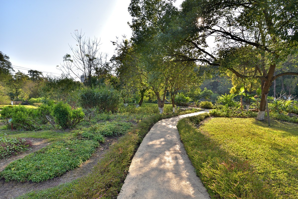 药用植物园随拍4