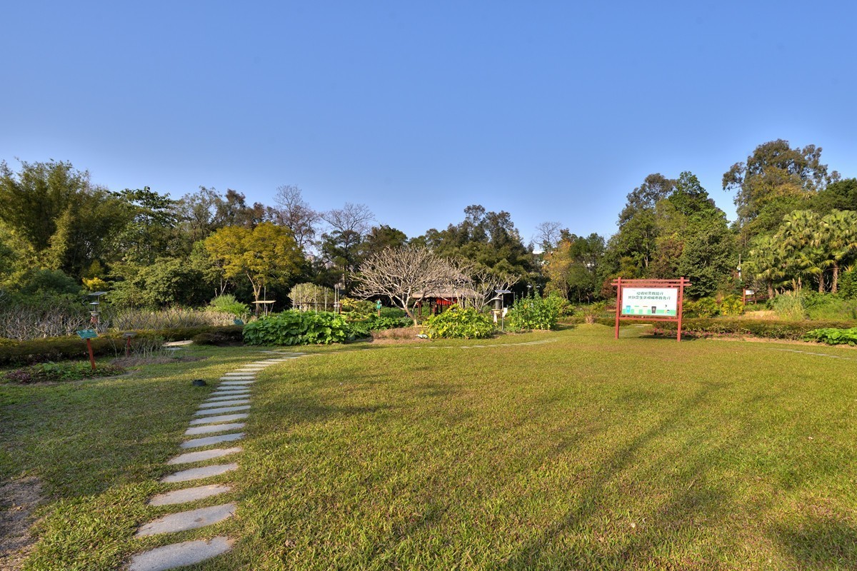 药用植物园随拍4