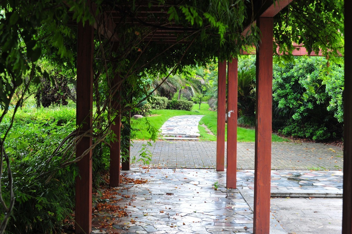 雨后晨拍