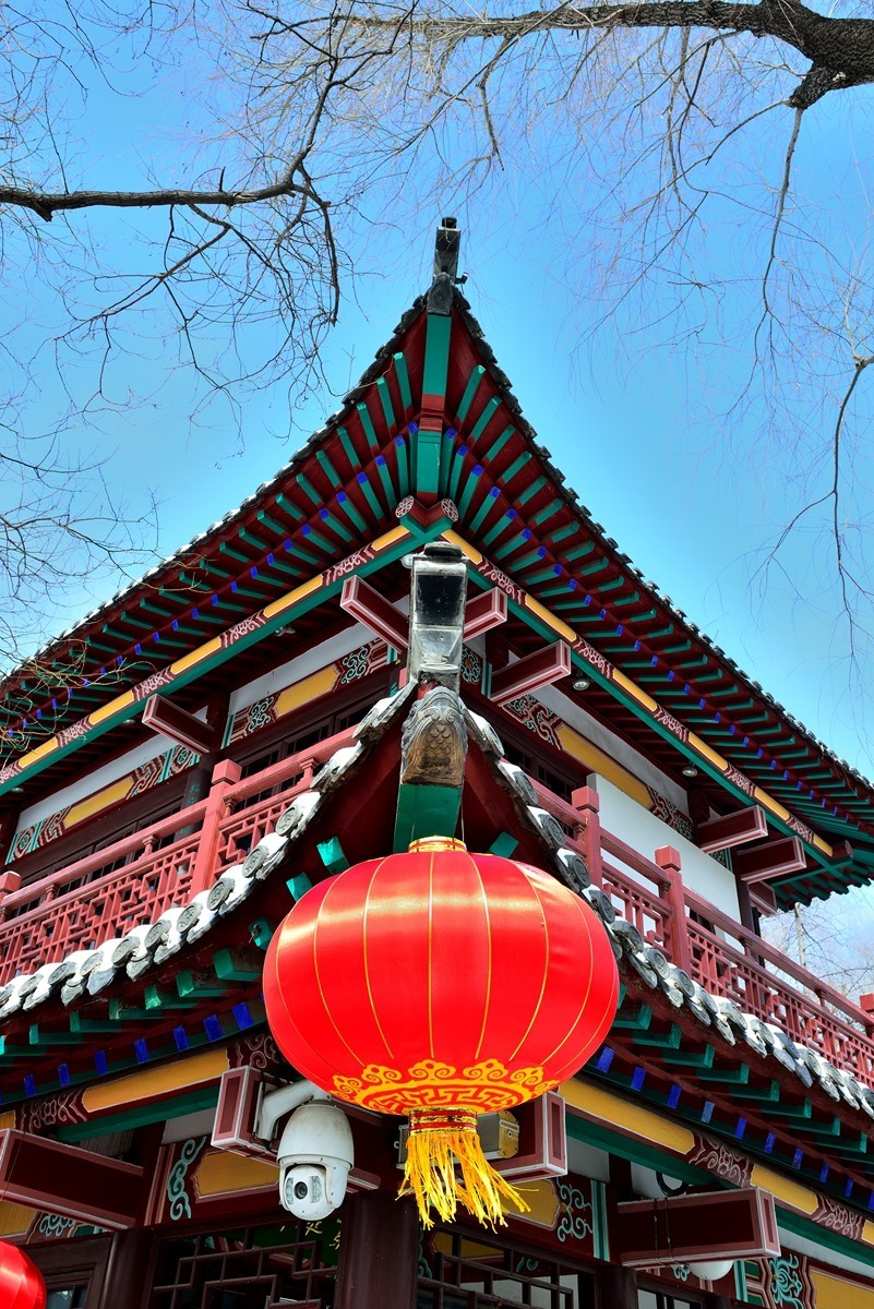 【视觉光影】雪后的泉城（34）