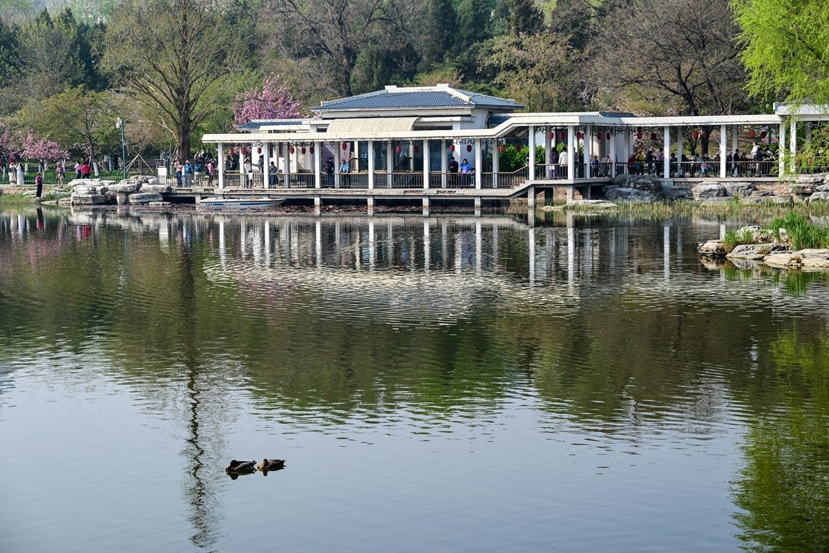 玉渊潭公园
