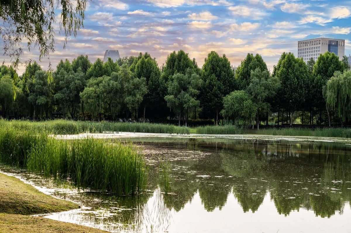 庐州印象（363）拜访影中笑版主老师