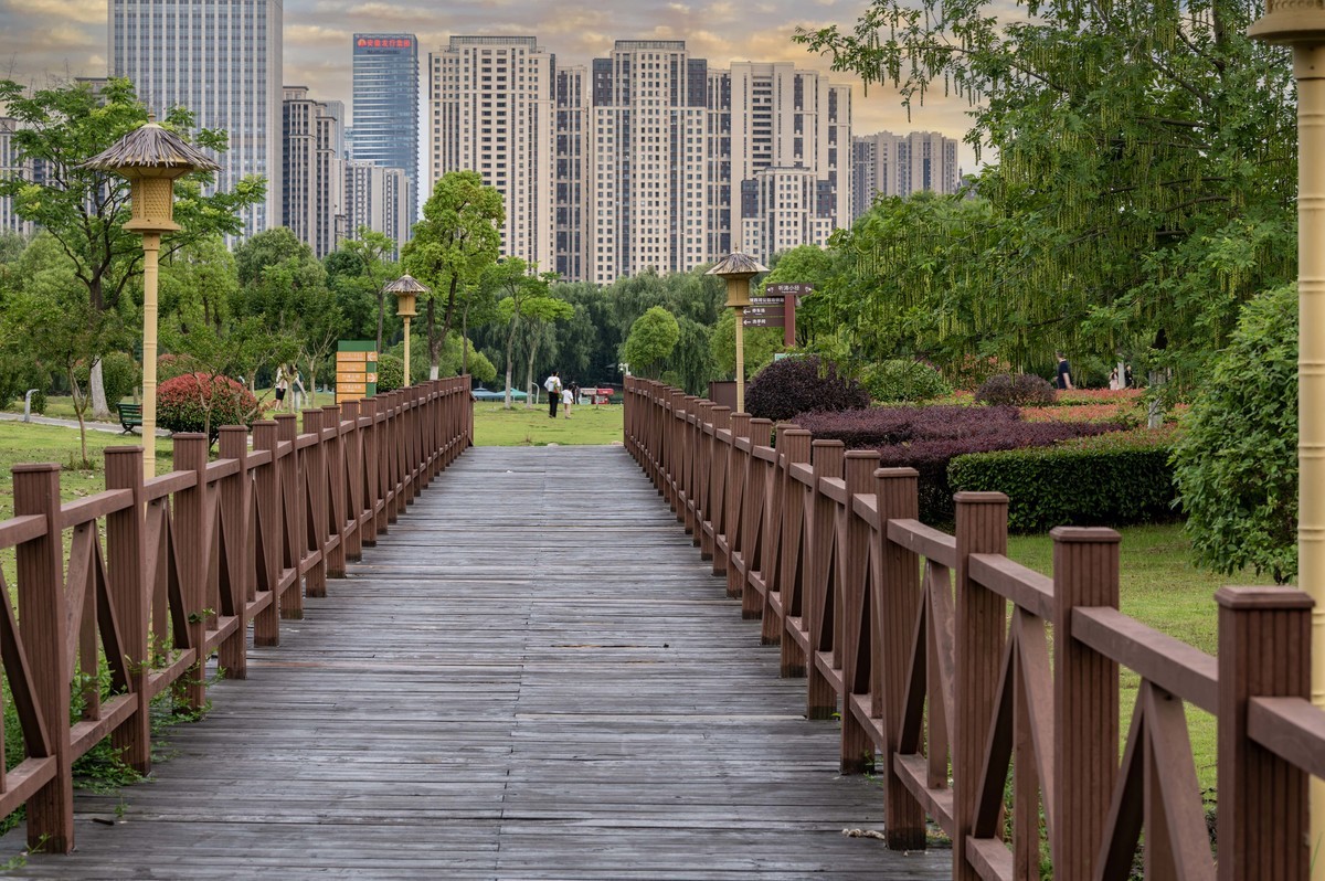 庐州印象（363）拜访影中笑版主老师