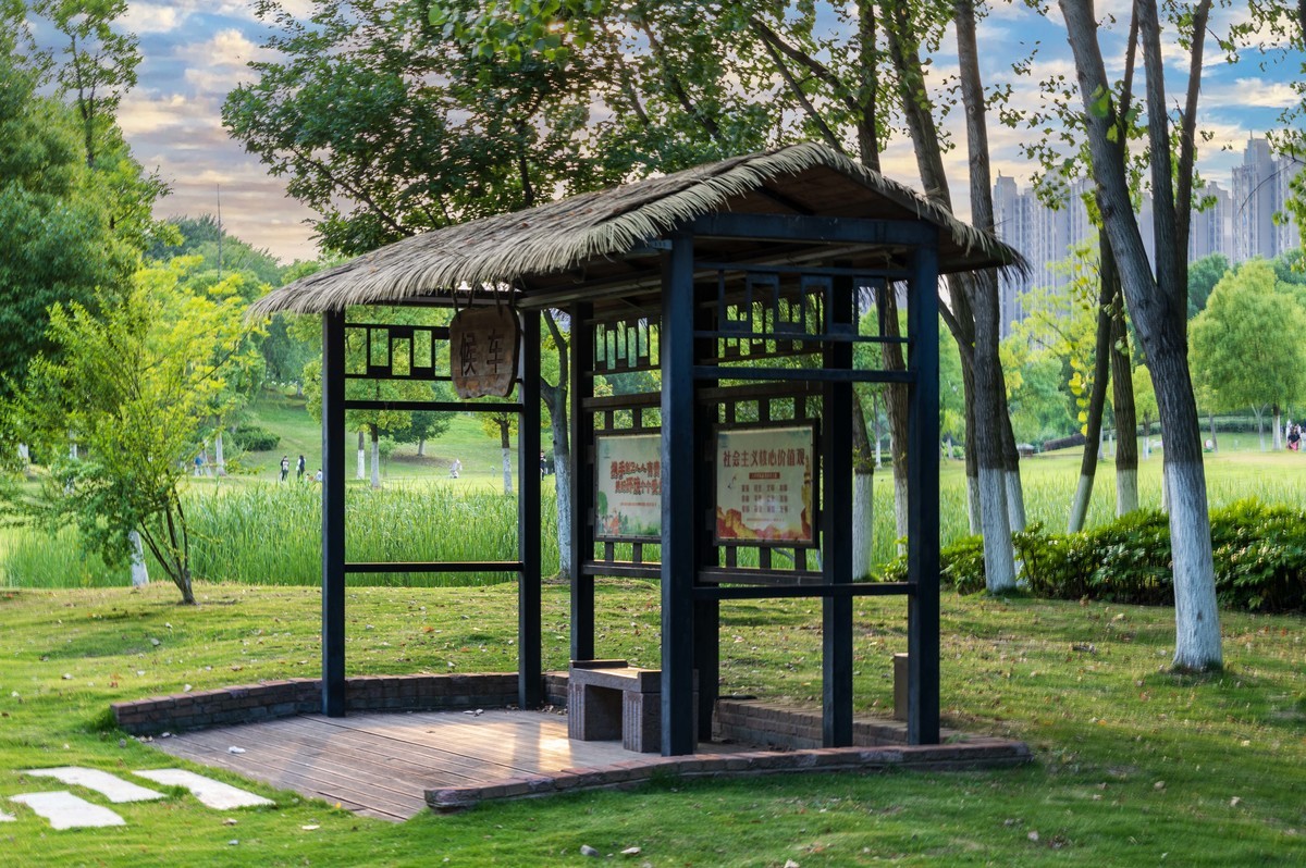 庐州印象（363）拜访影中笑版主老师