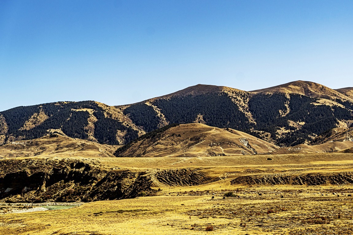 行走在318国道【23】告假帖