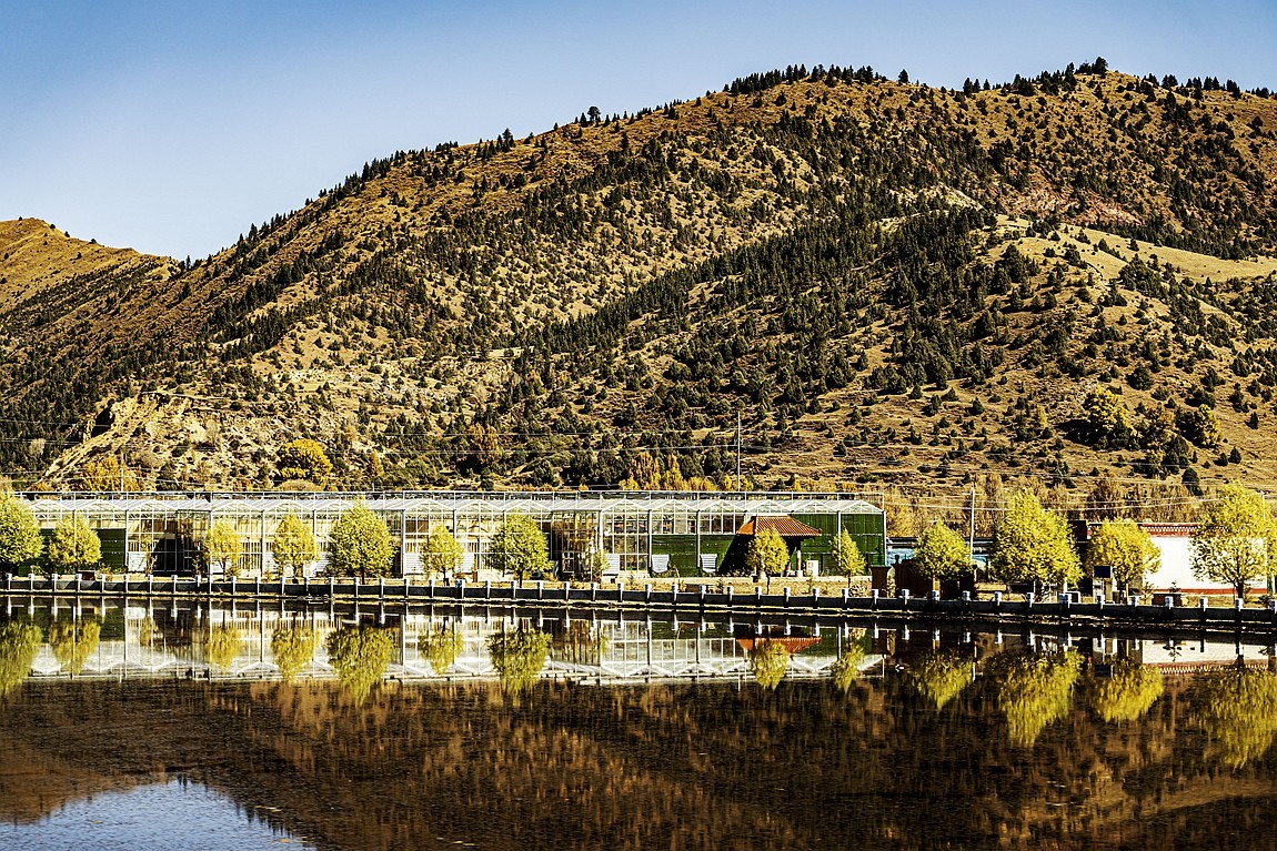 行走在318国道【23】告假帖