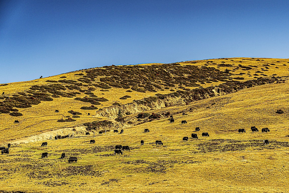 行走在318国道【23】告假帖