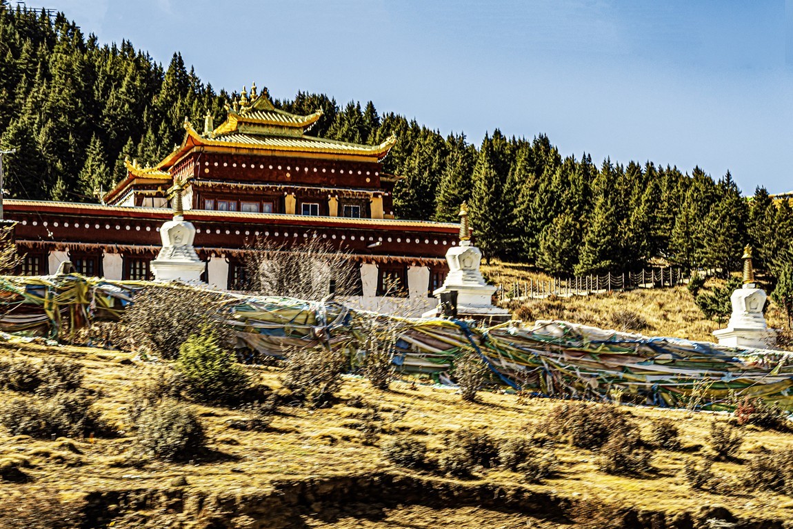 行走在318国道【23】告假帖