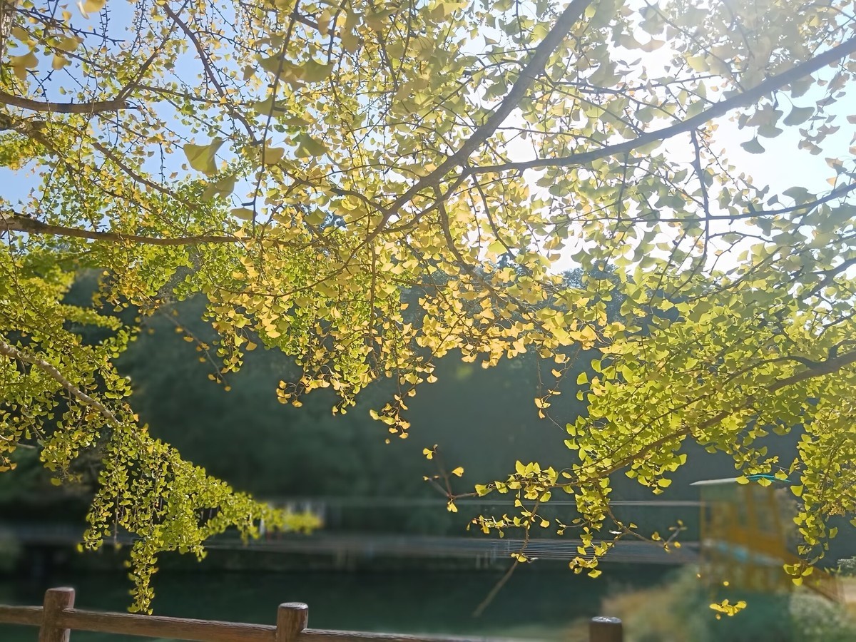 《转》有一坛酒叫做醉生梦死，喝了可以忘记过去。