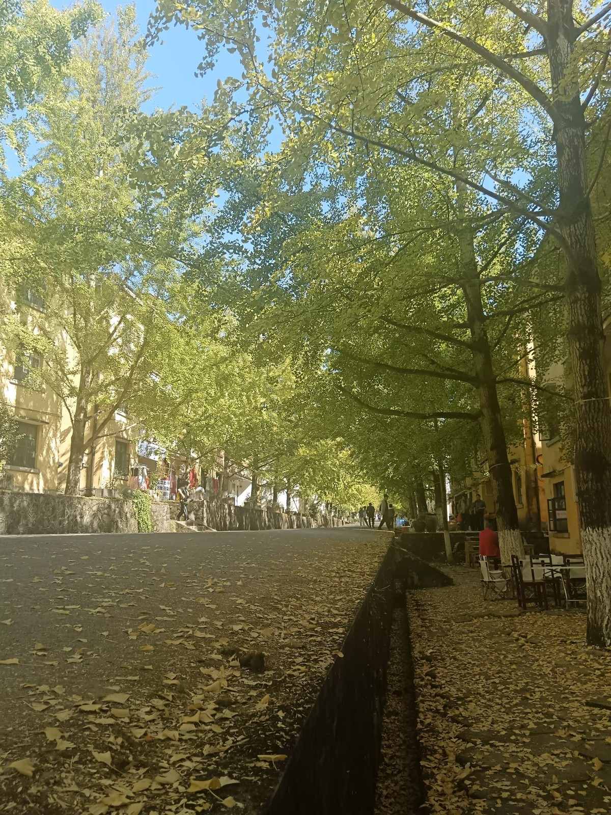 《转》有一坛酒叫做醉生梦死，喝了可以忘记过去。