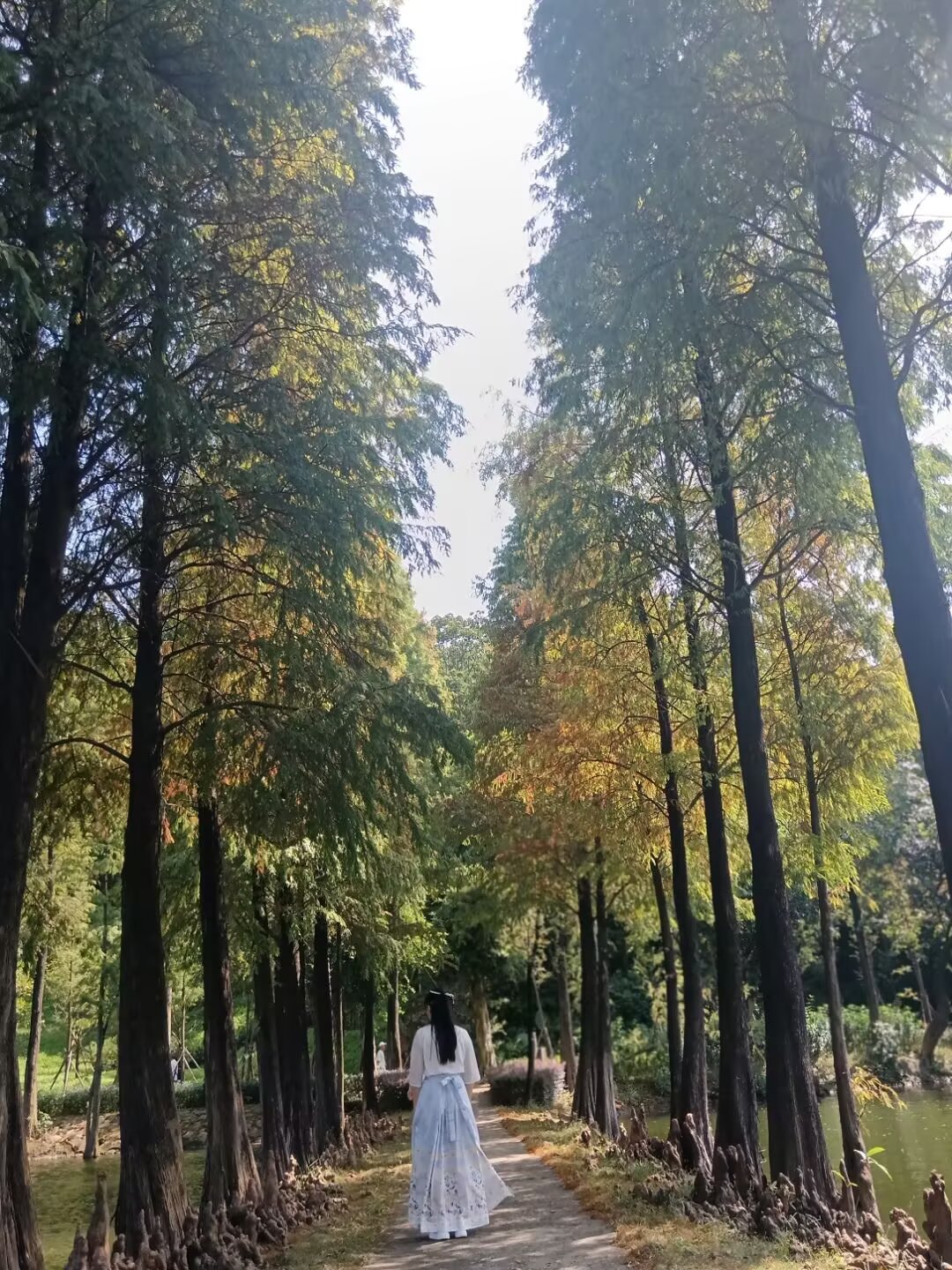 《转》有一坛酒叫做醉生梦死，喝了可以忘记过去。