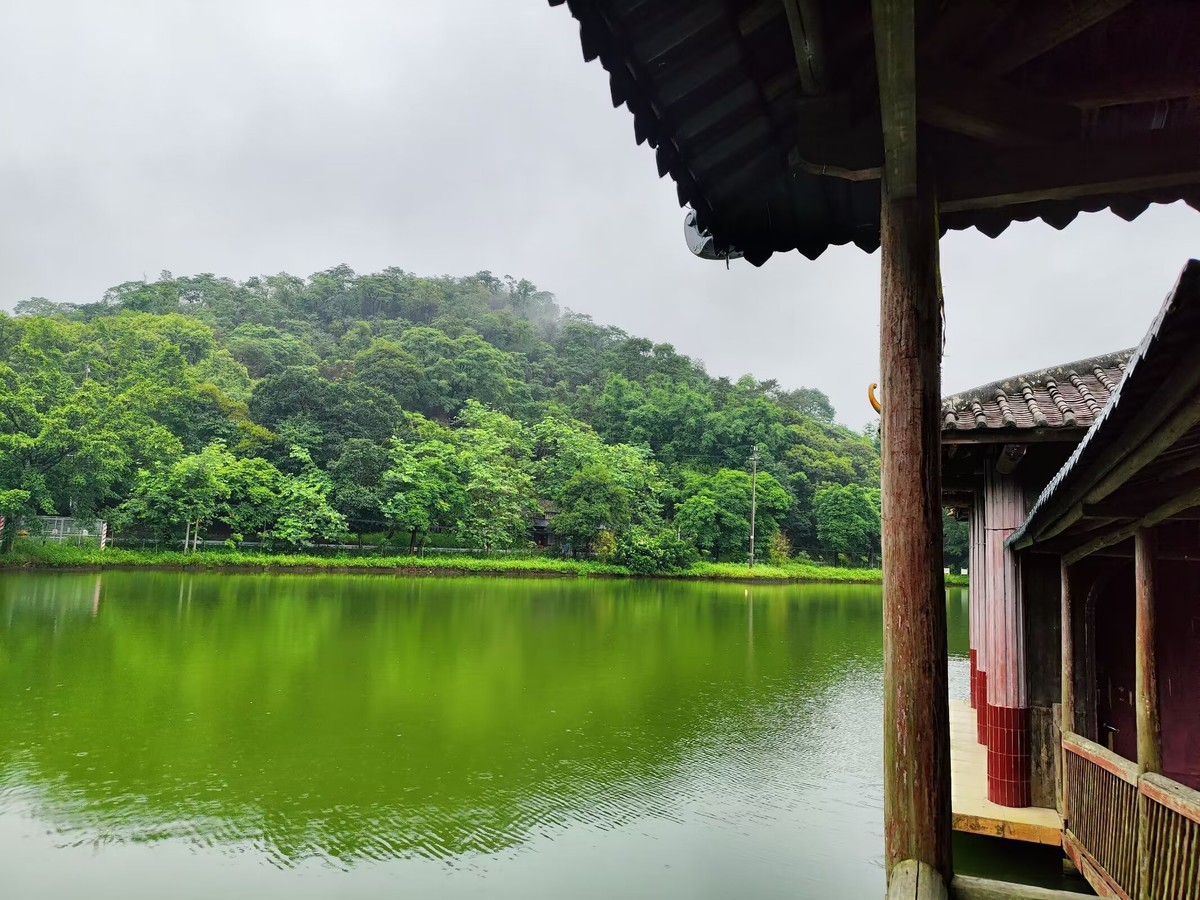 《转》有一坛酒叫做醉生梦死，喝了可以忘记过去。