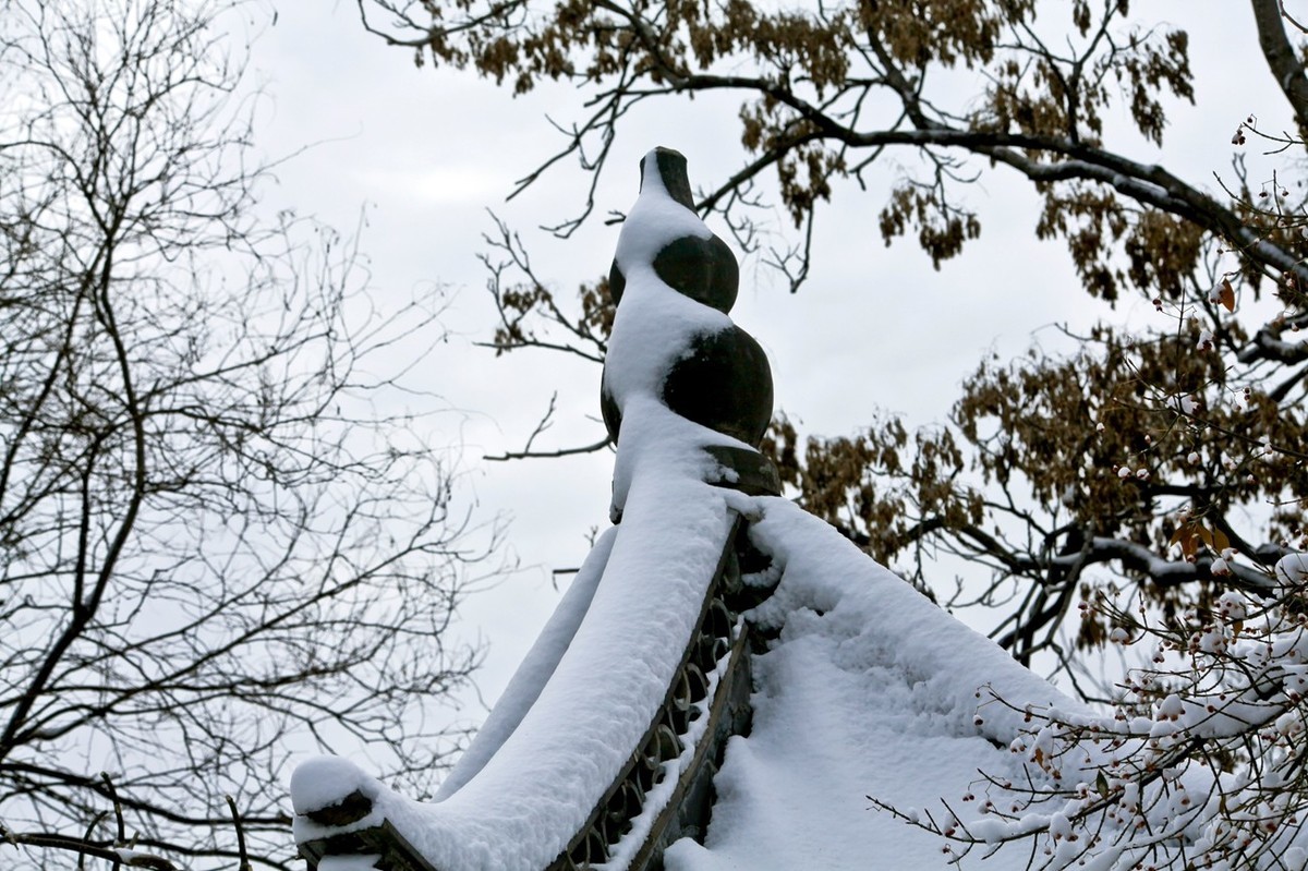 济南——大雪后景色（三）