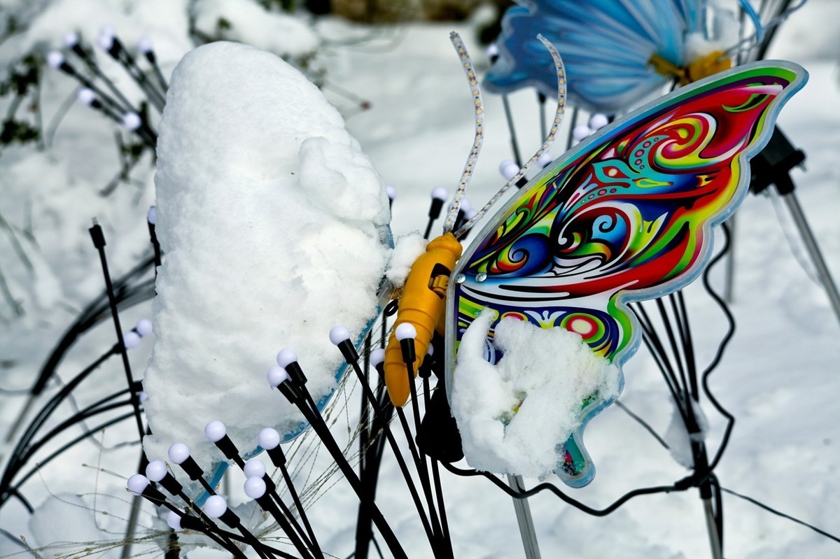 济南——大雪后景色（三）