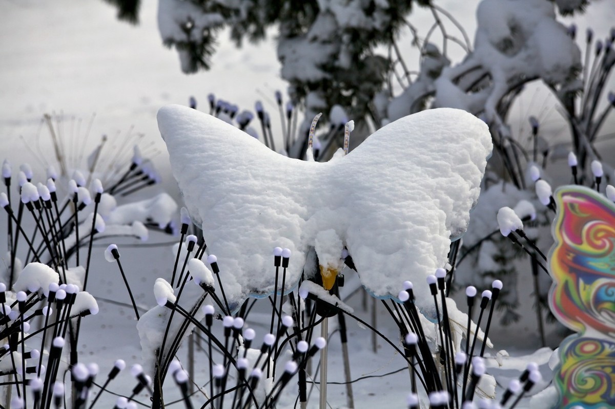 济南——大雪后景色（三）