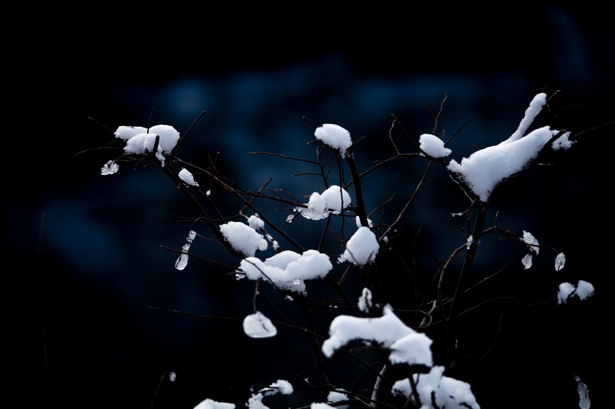 济南——大雪后景色（三）
