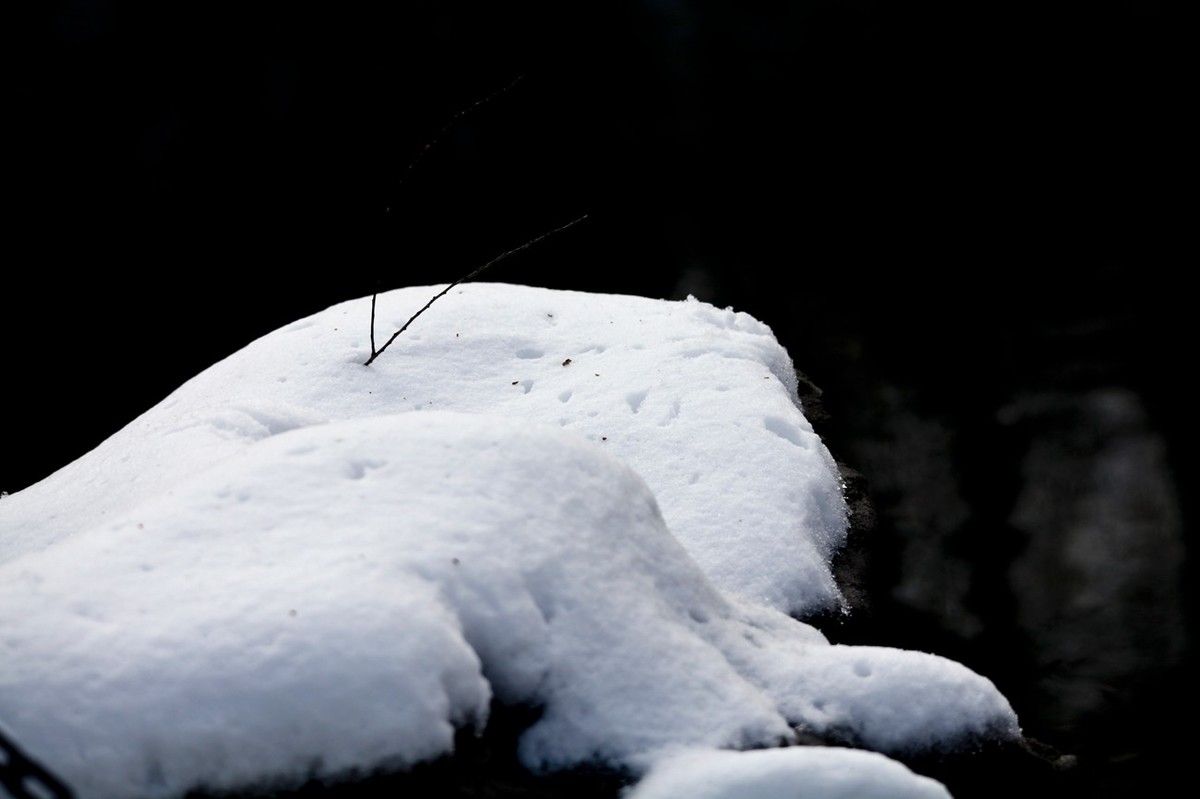 济南——大雪后景色（三）