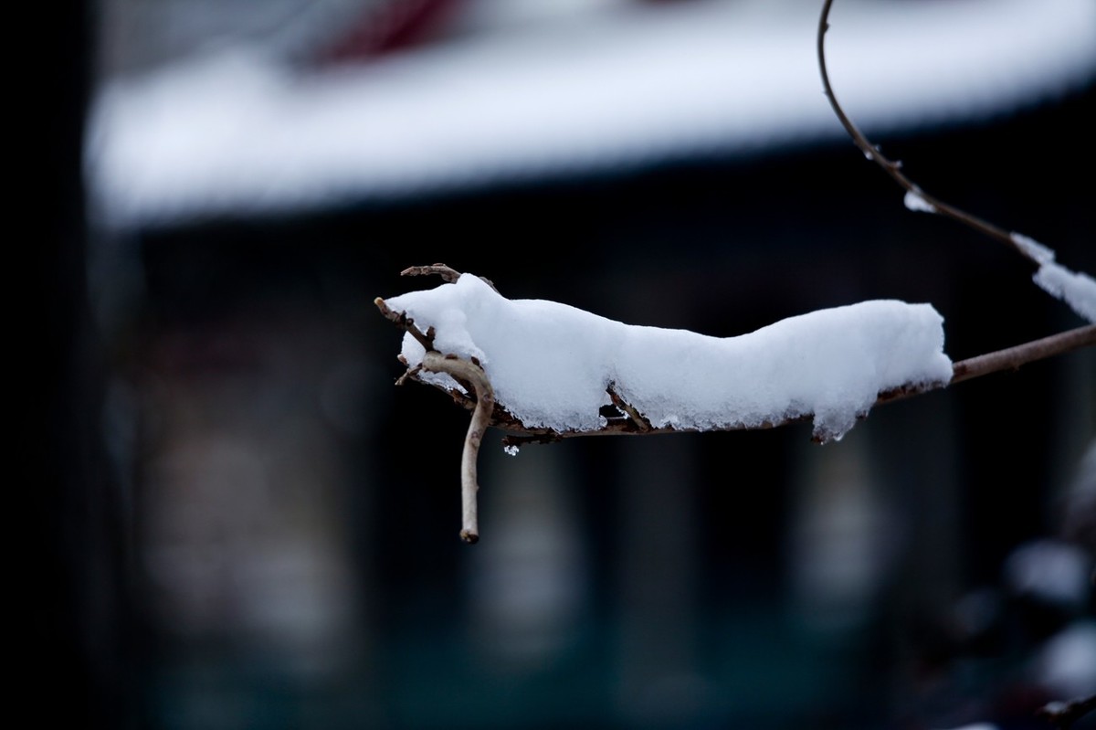济南——大雪后景色（三）