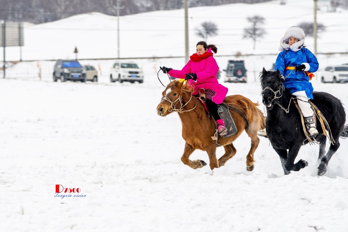 强健&靓丽的牧马人（58）