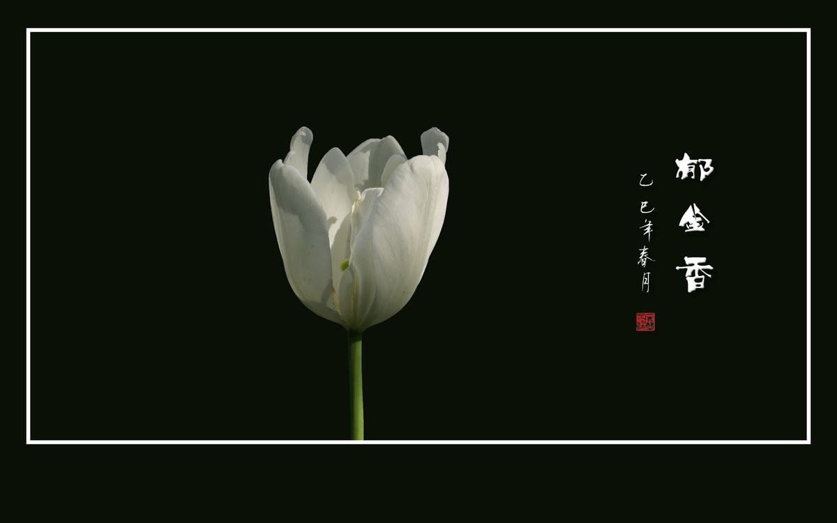 五彩缤纷高脚杯，未见琼浆香微醺