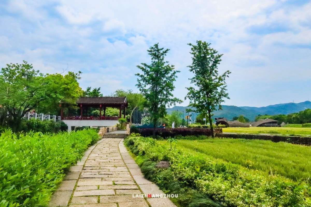 绿水青山就是金山银山（安吉余村）