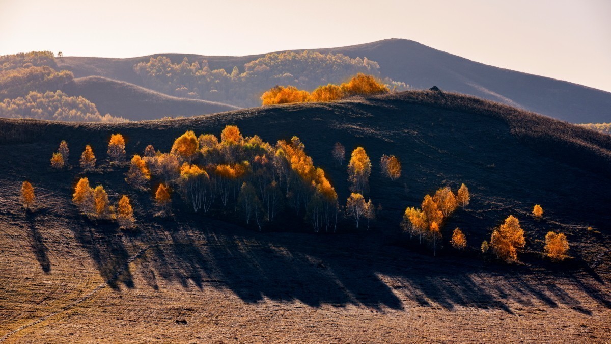 #版主坐堂#索尼大版星空(中国)2022年6月份优秀作品精选汇总