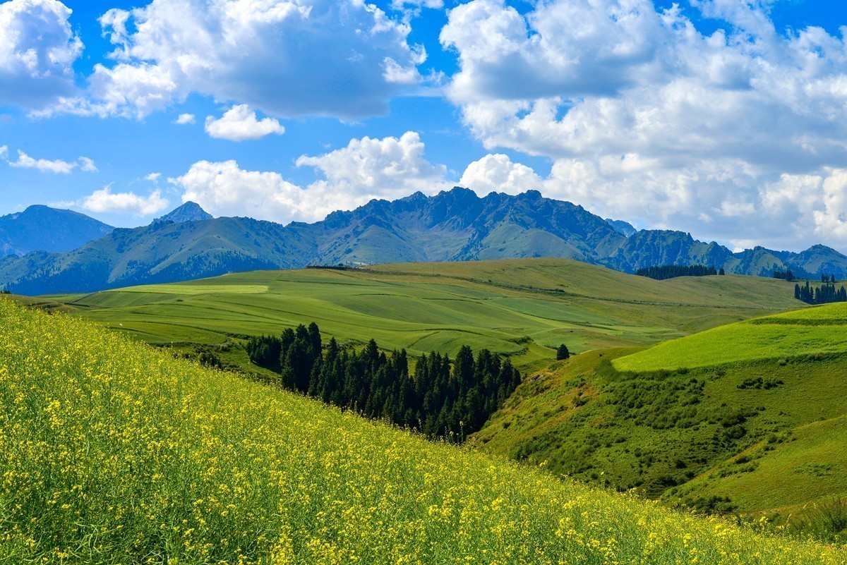 #版主坐堂#索尼大版星空(中国)2022年6月份优秀作品精选汇总