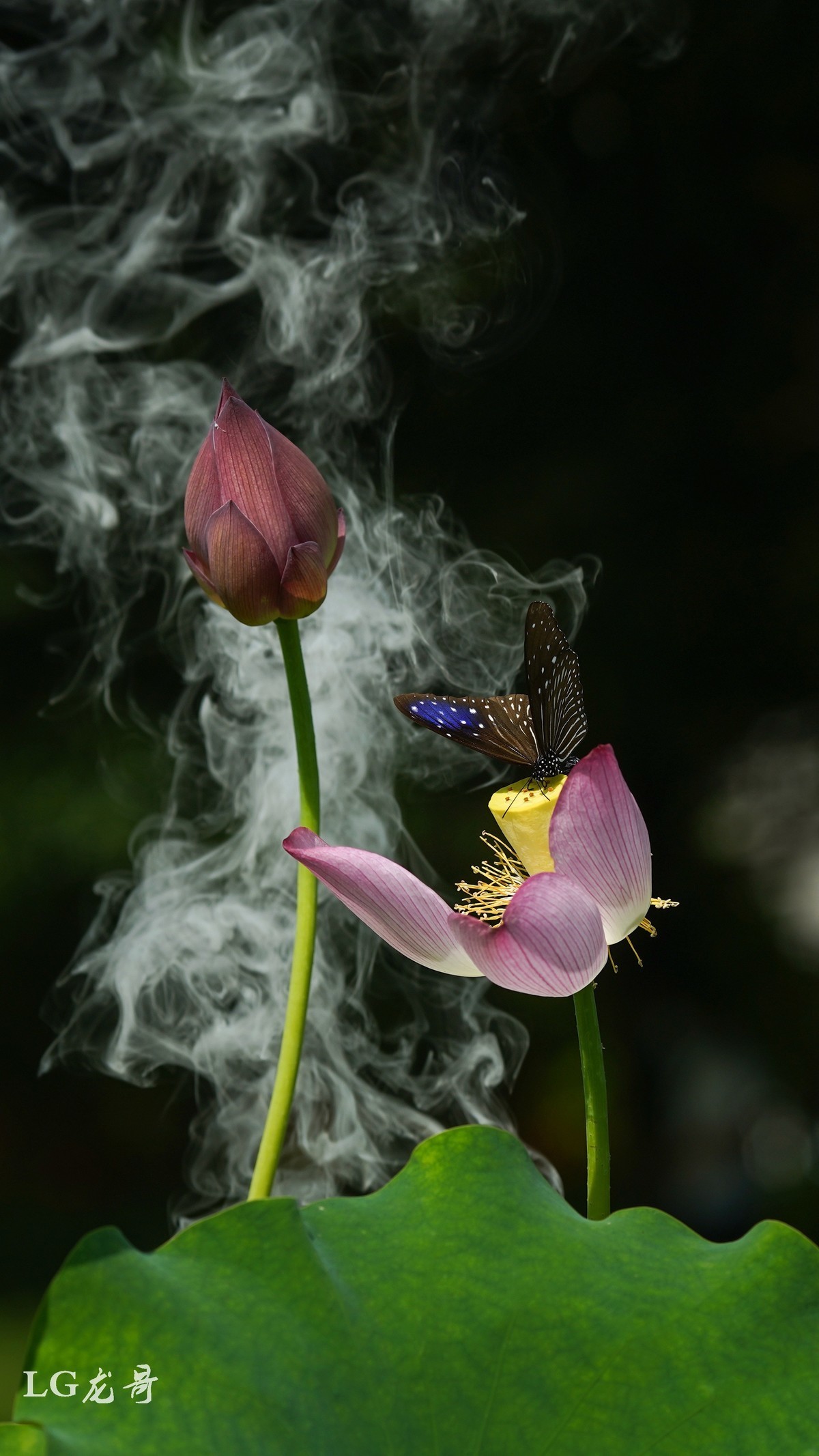 #版主坐堂#索尼大版星空(中国)2022年6月份优秀作品精选汇总