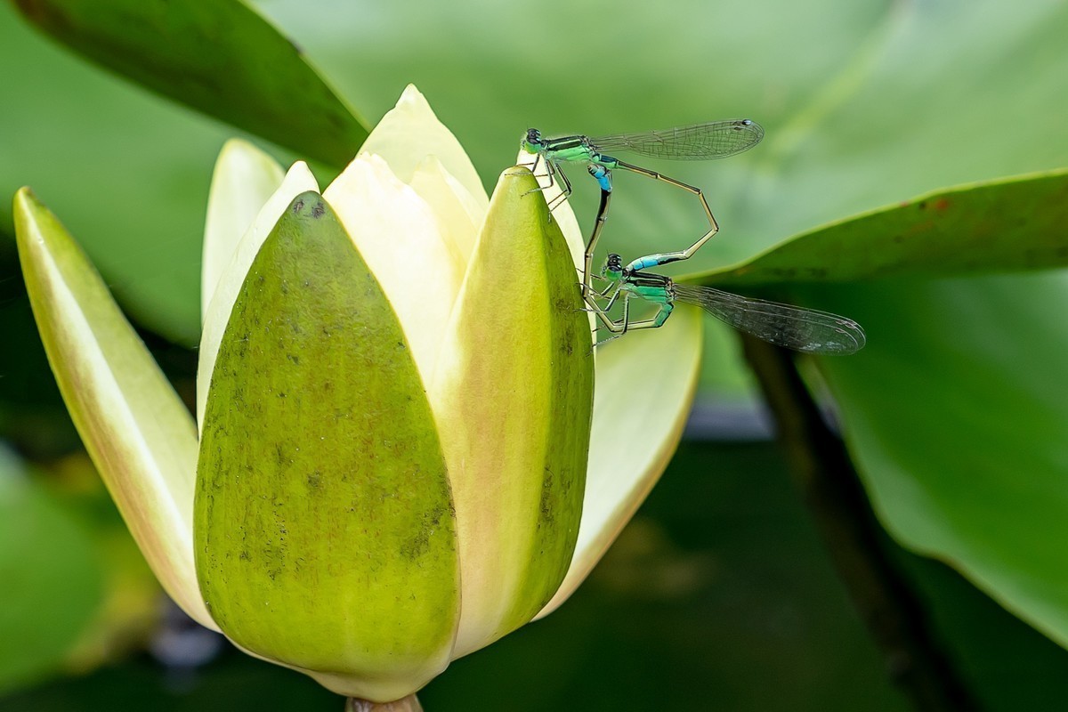 #版主坐堂#索尼大版星空(中国)2022年6月份优秀作品精选汇总
