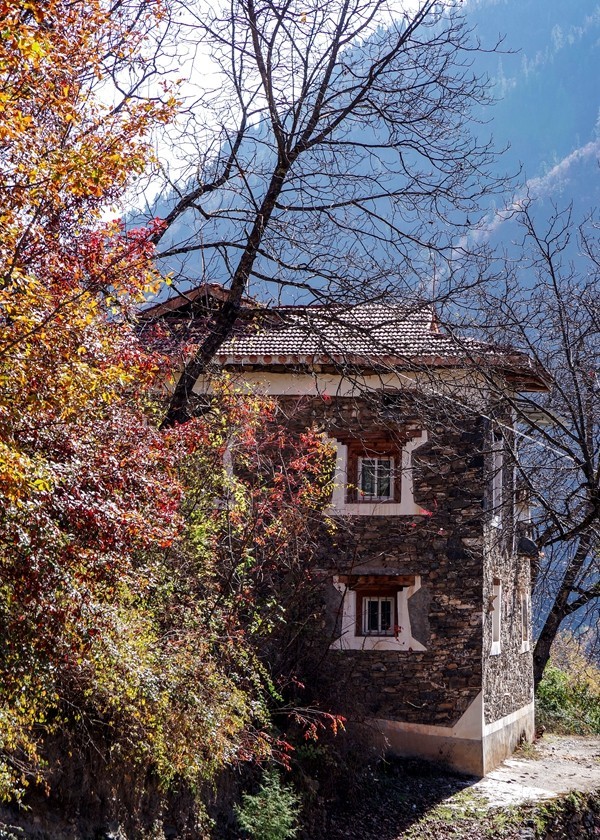 川西--黑水--奶子沟彩林【8】