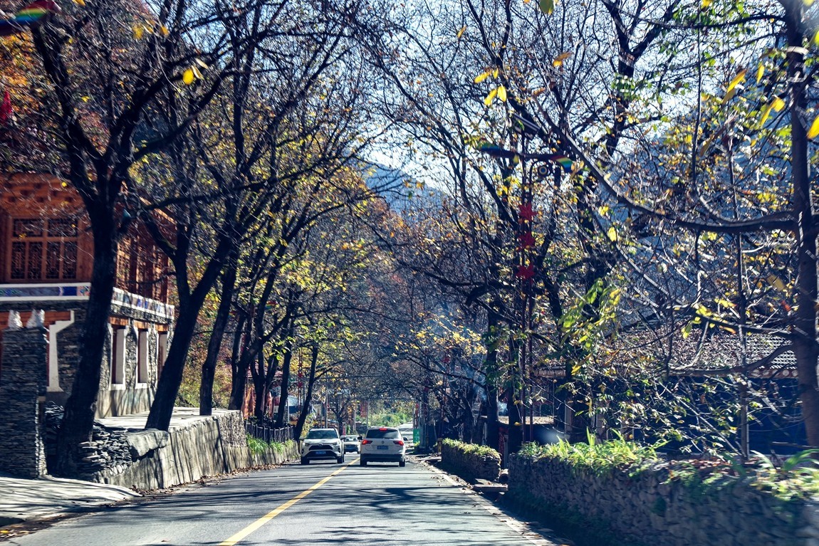 川西--黑水--奶子沟彩林【8】