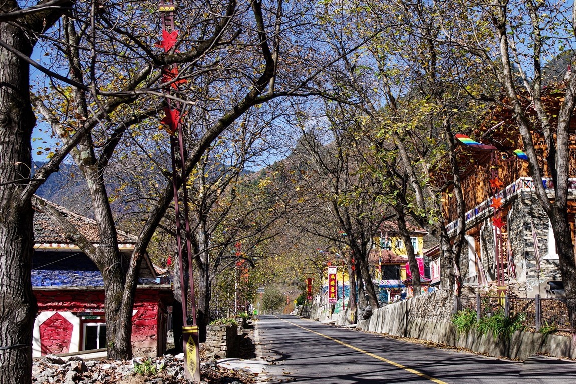 川西--黑水--奶子沟彩林【8】