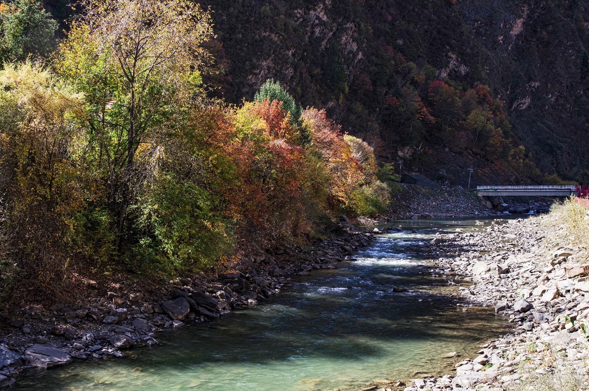 川西--黑水--奶子沟彩林【8】