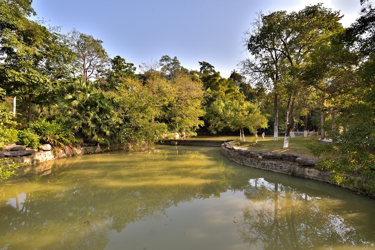 药用植物园随拍4