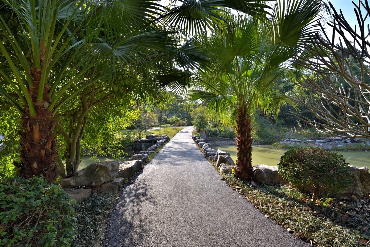 药用植物园随拍4