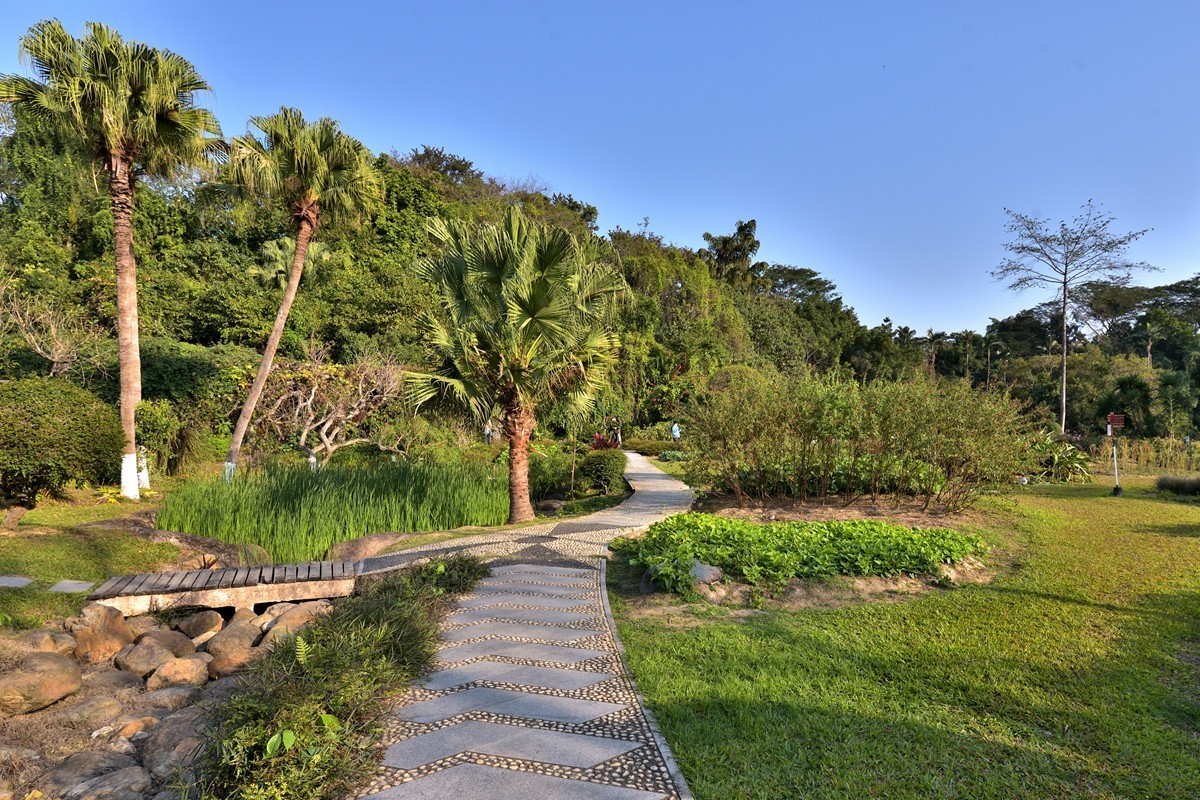 药用植物园随拍4