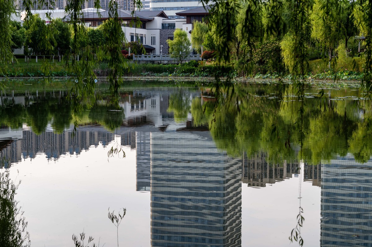 庐州印象（363）拜访影中笑版主老师