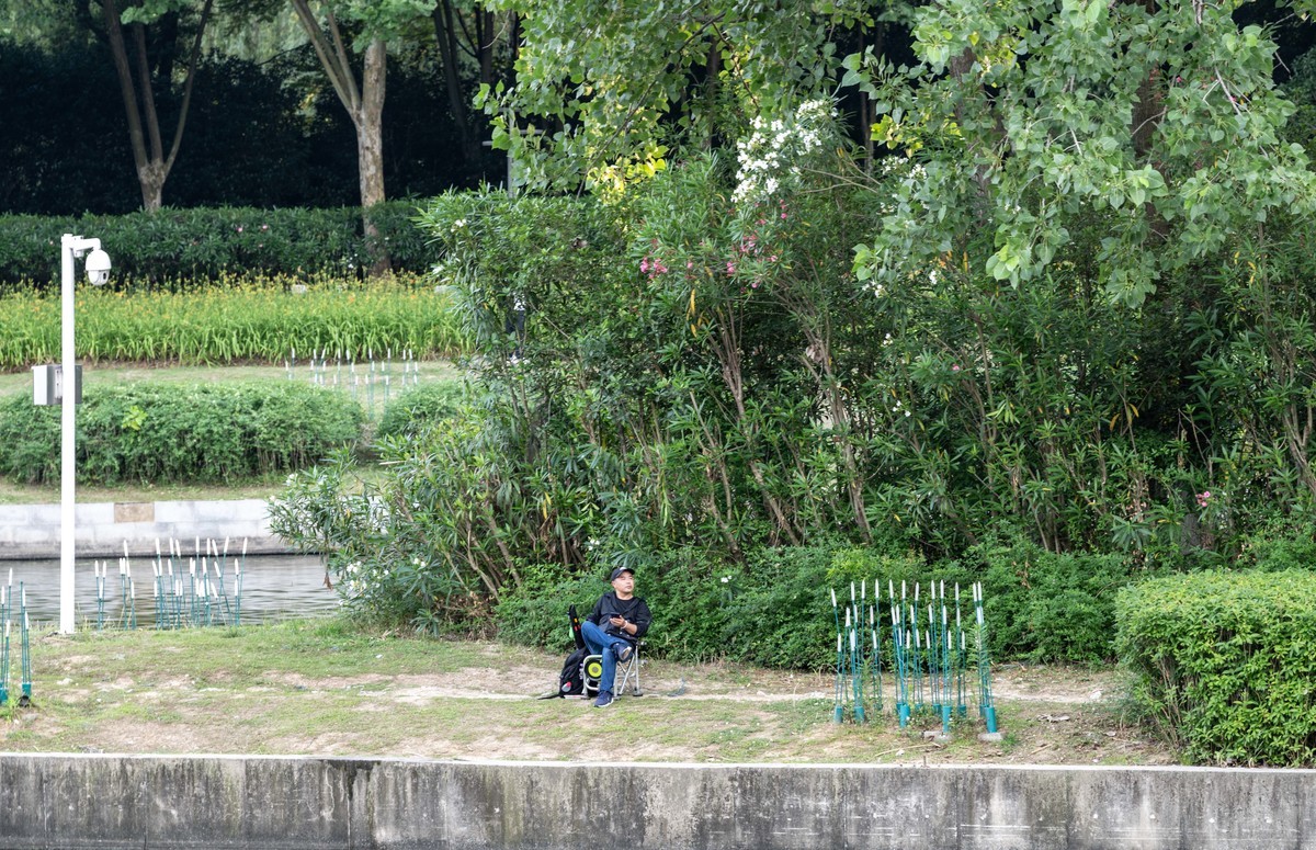 庐州印象（363）拜访影中笑版主老师