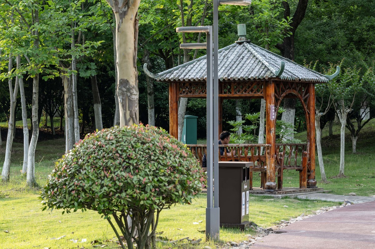 庐州印象（363）拜访影中笑版主老师