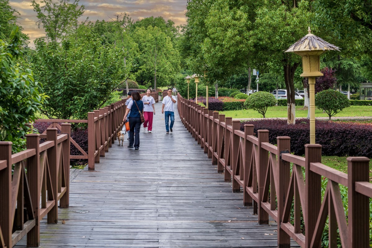 庐州印象（363）拜访影中笑版主老师