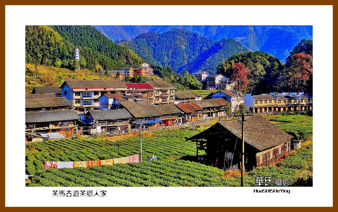 2021南行慢游（湖南165）—茶马古道茶乡人家（益阳市安化）