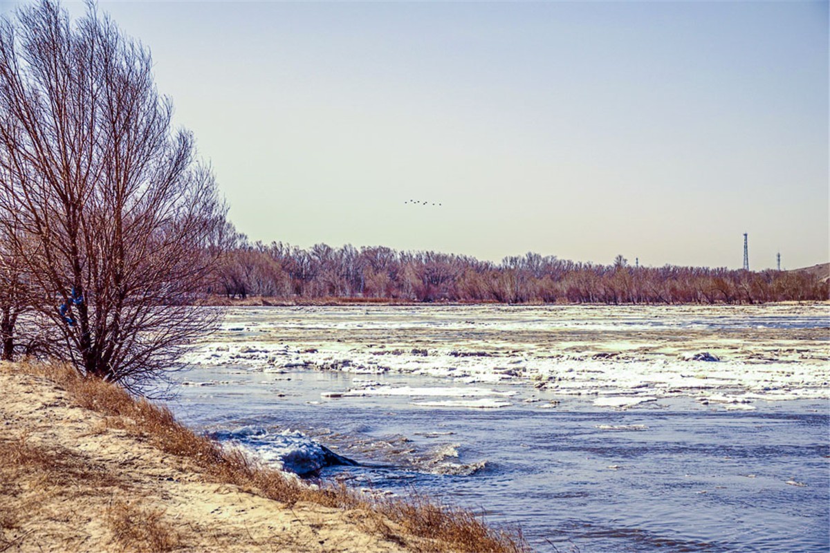 沐沦河早春风光