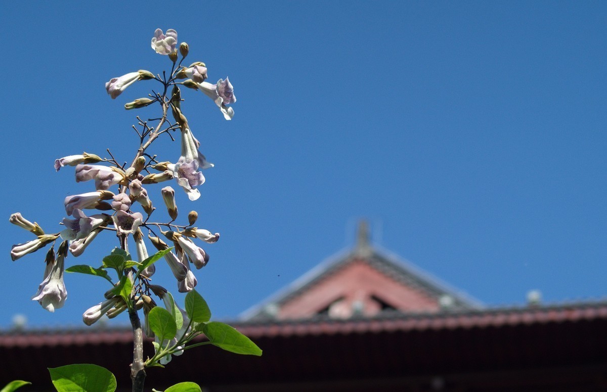 #版主坐堂#  2022年4～5月《佳能EF 16-35mm f/2.8L II USM镜头》星空(中国)优秀作品选编