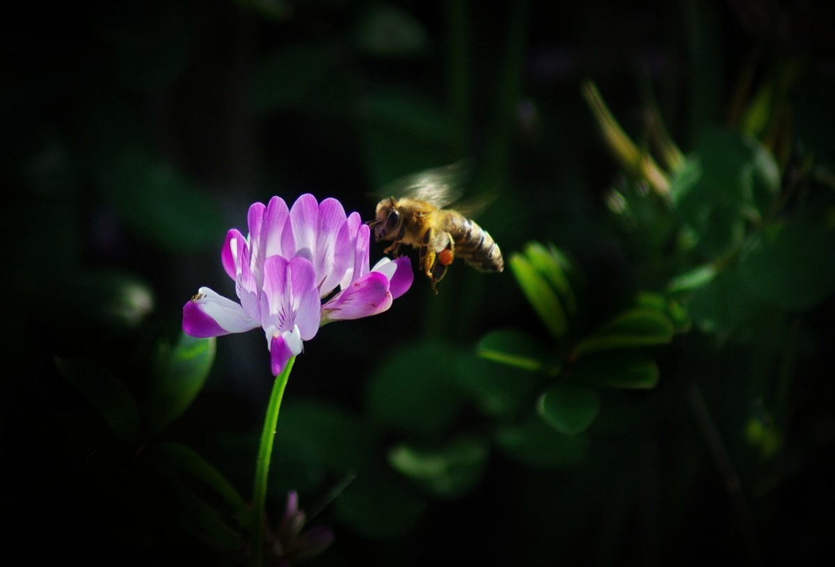 #版主坐堂#  2022年4～5月《佳能EF 16-35mm f/2.8L II USM镜头》星空(中国)优秀作品选编