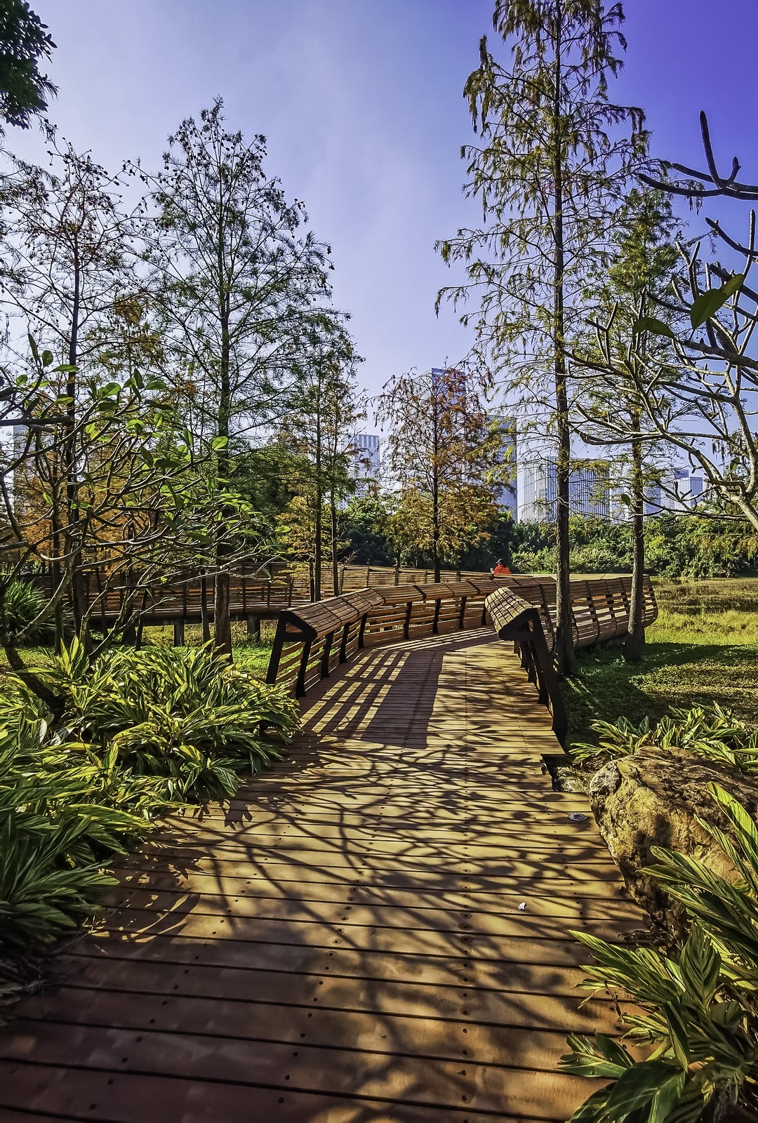 #留住美丽秋天#  金色的秋