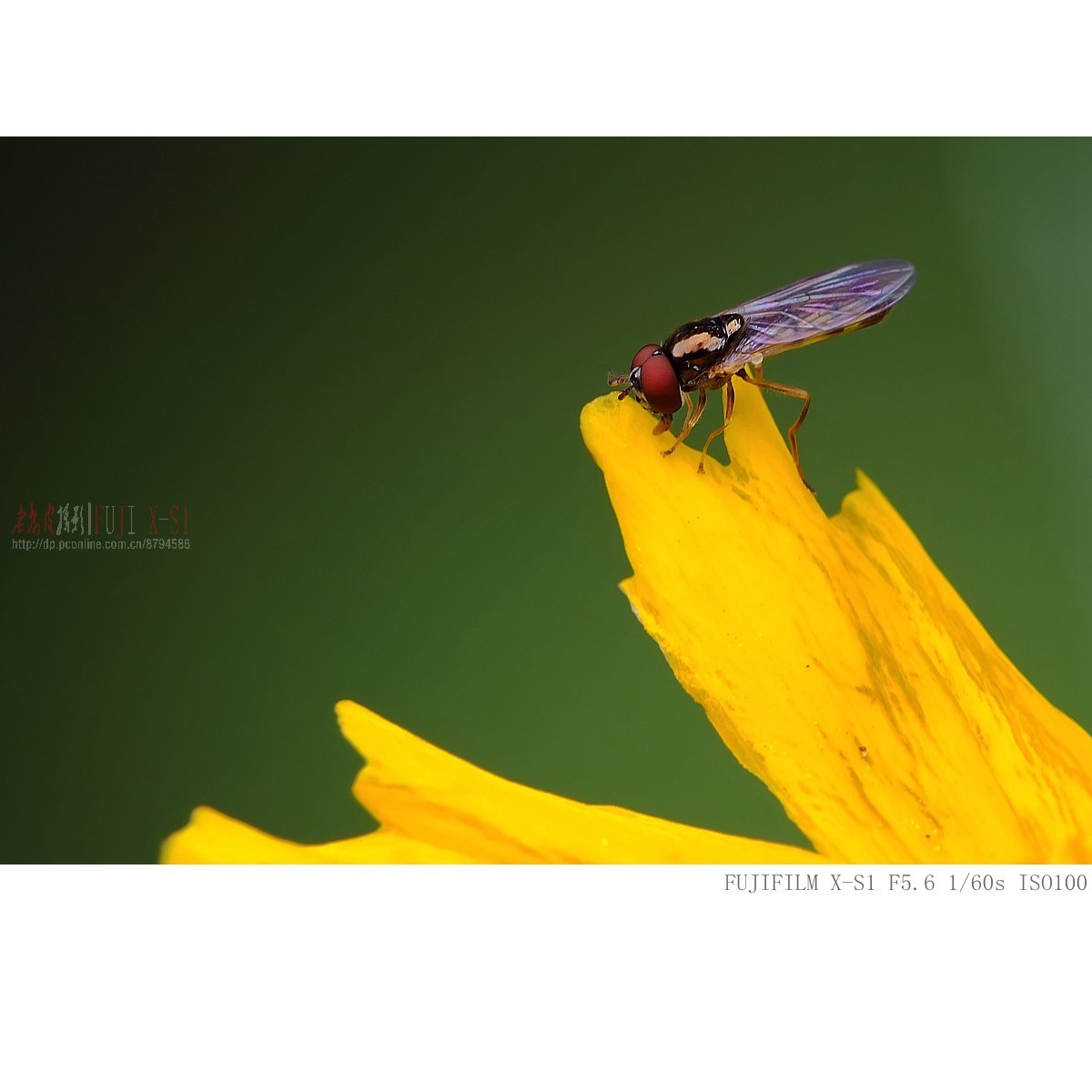 富士长焦机微距