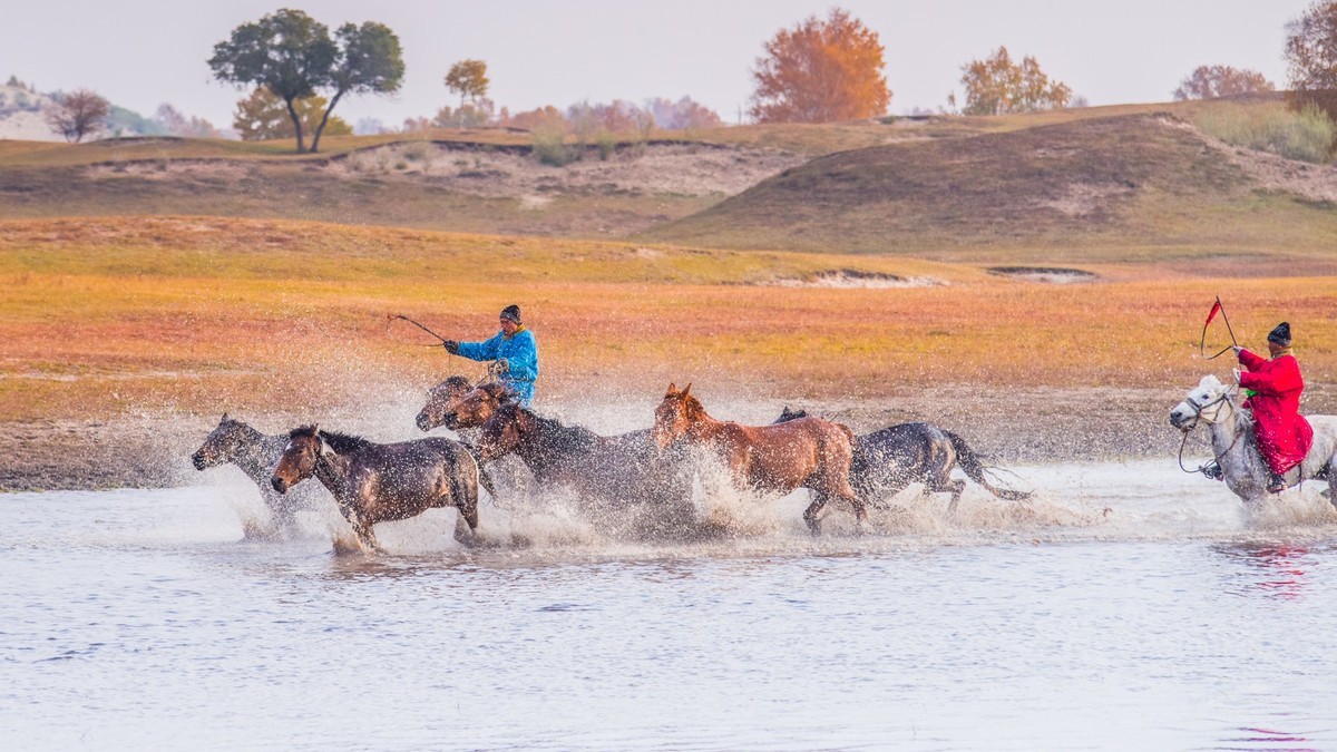 克什克腾旗------疾马飞浪（二）